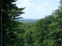 2007_06180117